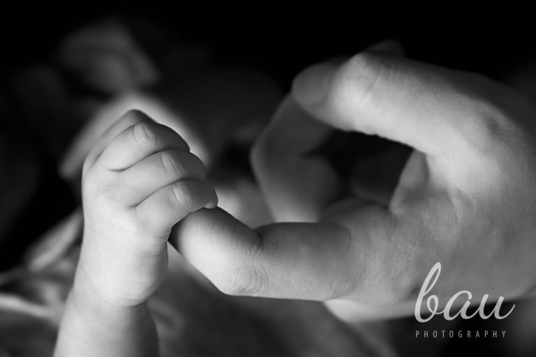 IMG_1581-Edit-2